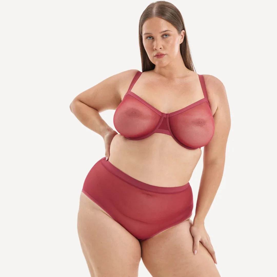 Mesh High Waist Brief - Archive
