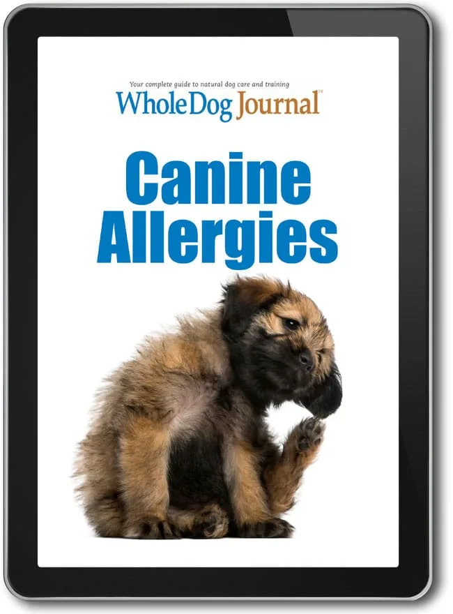 Allergies canines