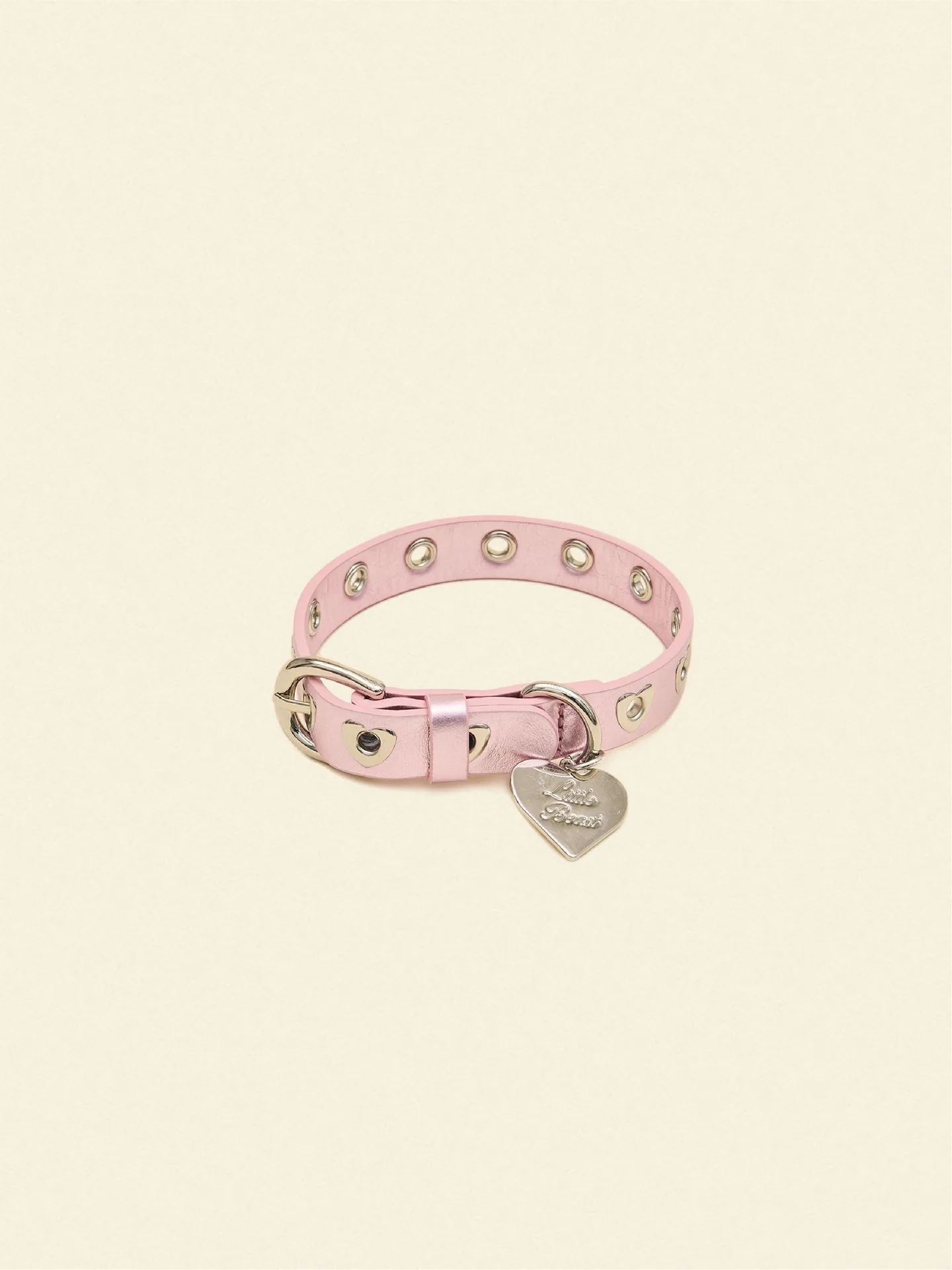 What to Look for in a Dog Collar: Materials, Safety, and Style Guide
