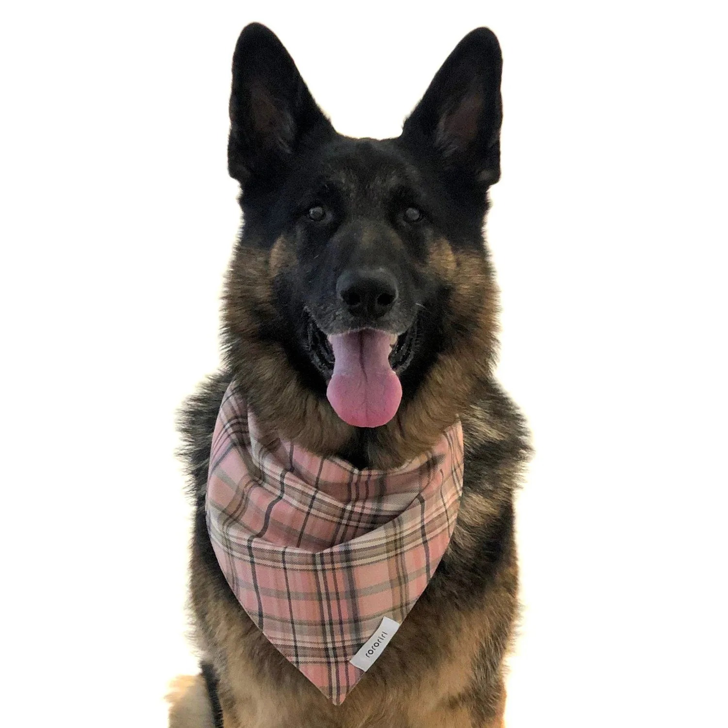 How to Match Your Dog's Bandana and Leash for a Polished Look
