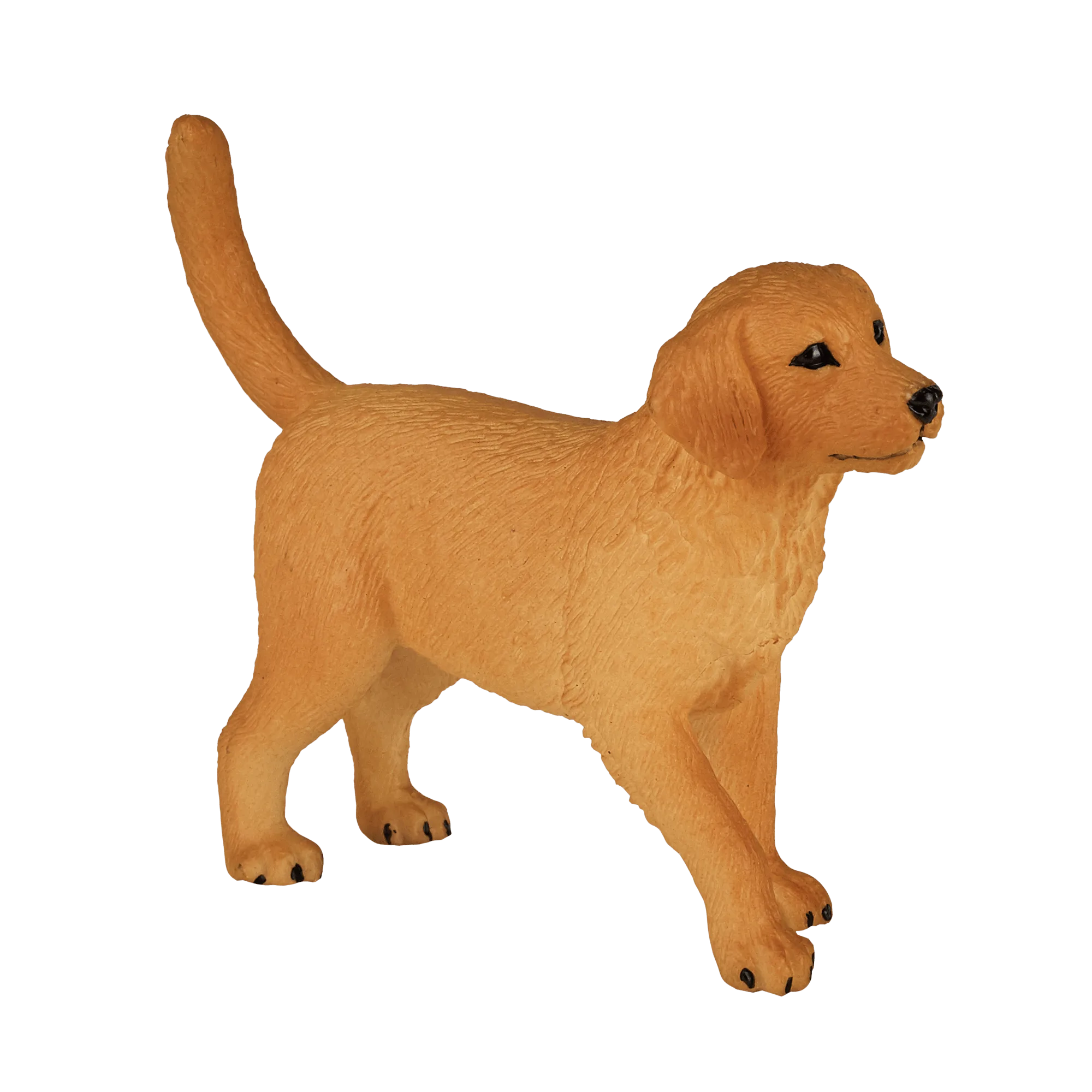 Figurine de chiot Golden Retriever : échelle, peinture et entretien