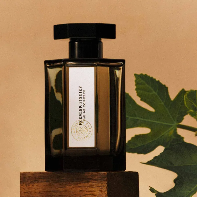 How to Read a Perfume Fragrance Pyramid: Notes, Accords, and What They Mean