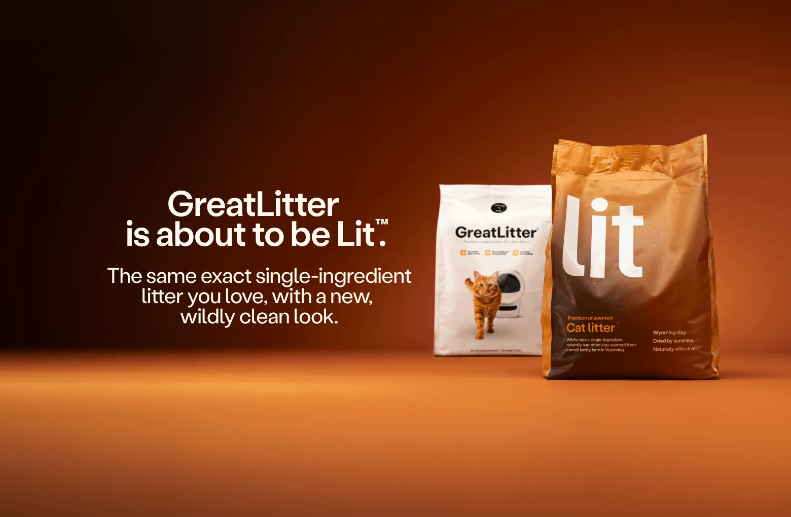 Litter-RobotでGreatLitterと標準の固まるタイプを比較