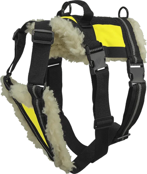 Que rechercher dans un harnais de pistage pour la recherche et le sauvetage