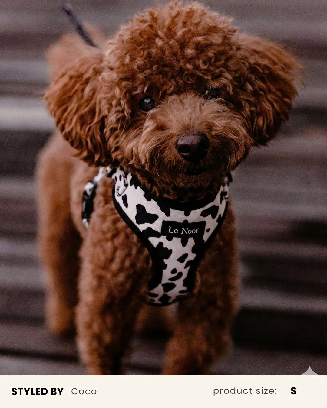 Mix & Match Dog Harness Set