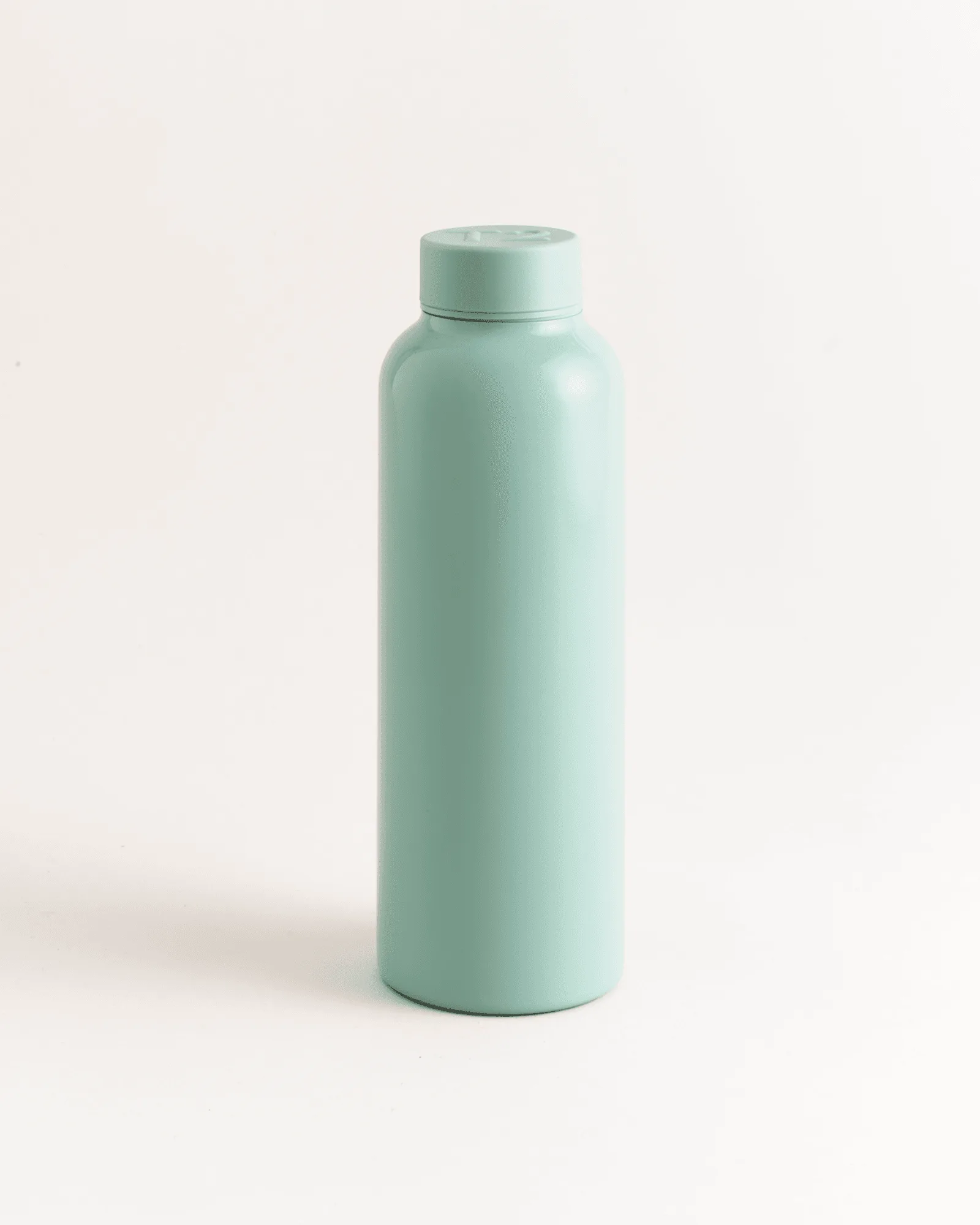 T2 Stainless Steel Flask Sage