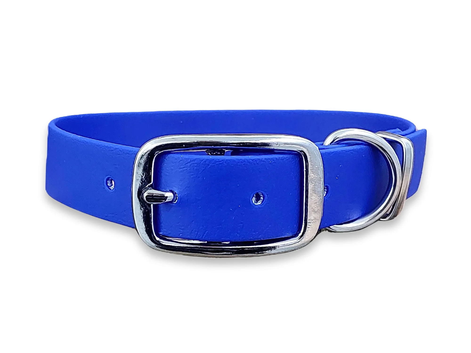 Electric Blue Waterproof Biothane Buckle Dog Collar