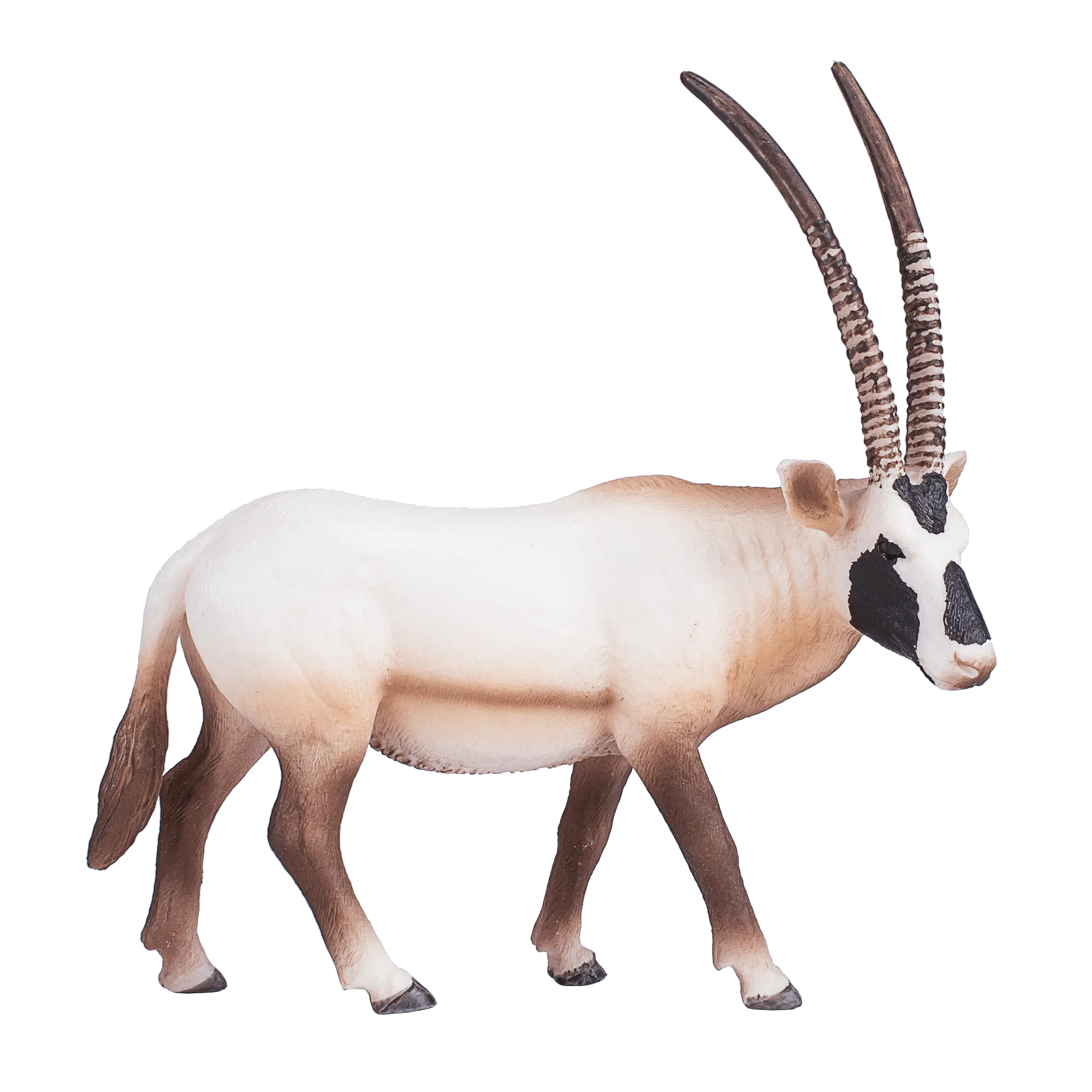 Arabian Oryx vs White Tailed Deer Buck: Figure Comparison