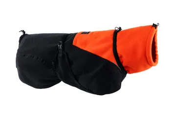 How to Train Your Dog to Wear a Jacket: Step-by-Step Guide for First-Timers