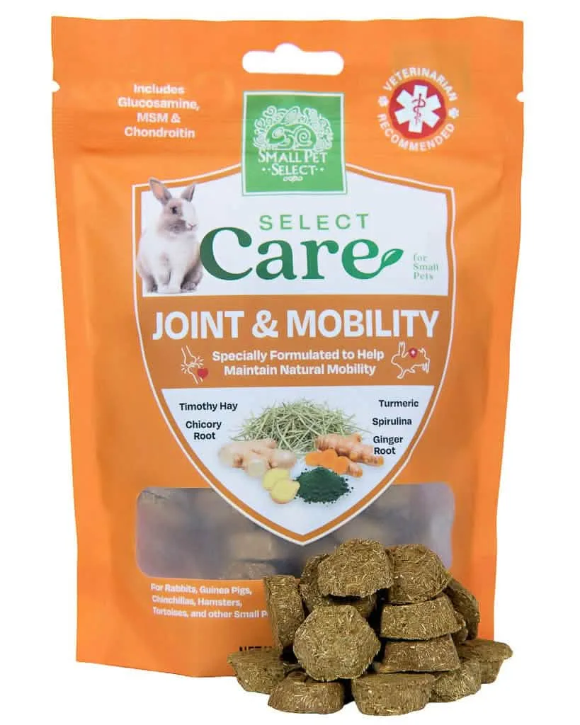 Joint & Mobility Support for Small Pets: When to Consider It