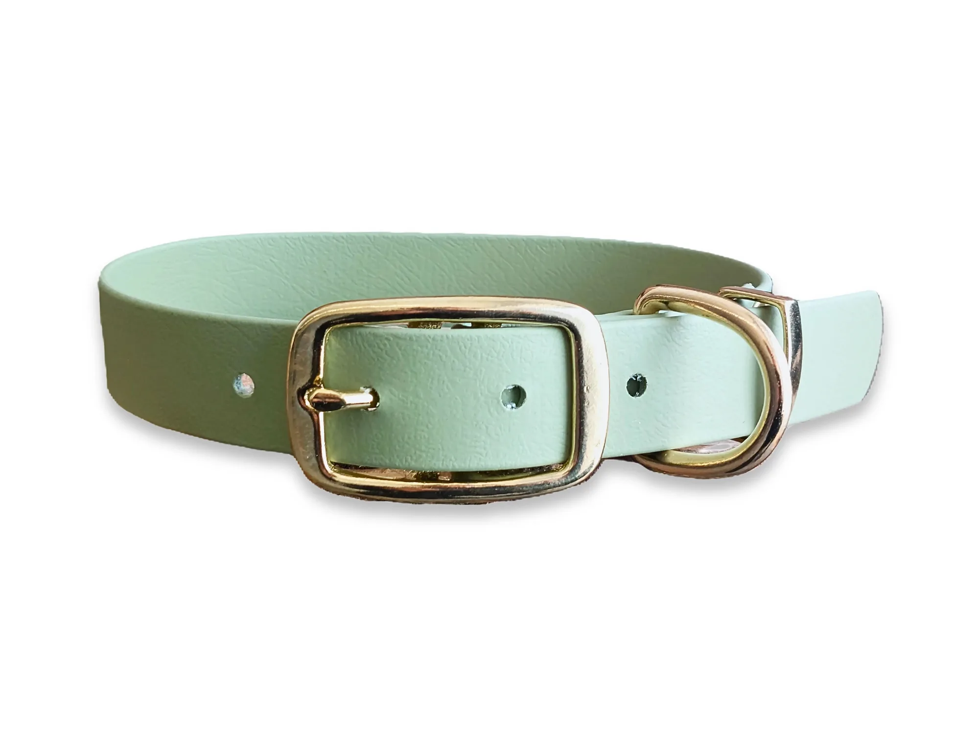 Guacamole Green Waterproof Biothane Buckle Dog Collar