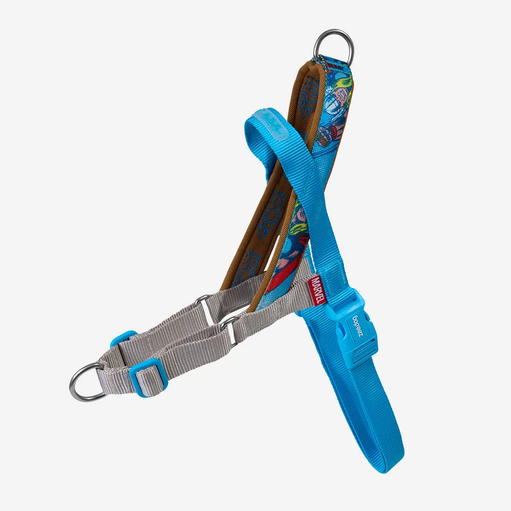The Benefits of Using a Harness with a Leash for Cats: Safety, Exercise, and Bonding