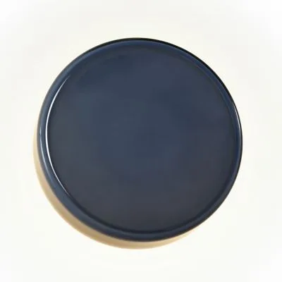 Caramel LED Wall Sconce with Disk