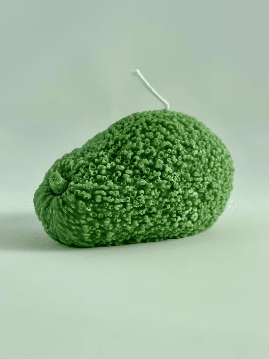 Avocado Candle vs Soy Candle: What's the Difference?