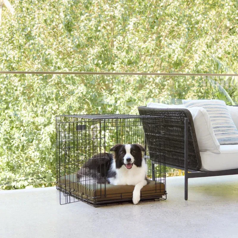 Housses de lit rafraîchissantes pour chien : Guide d'achat pratique