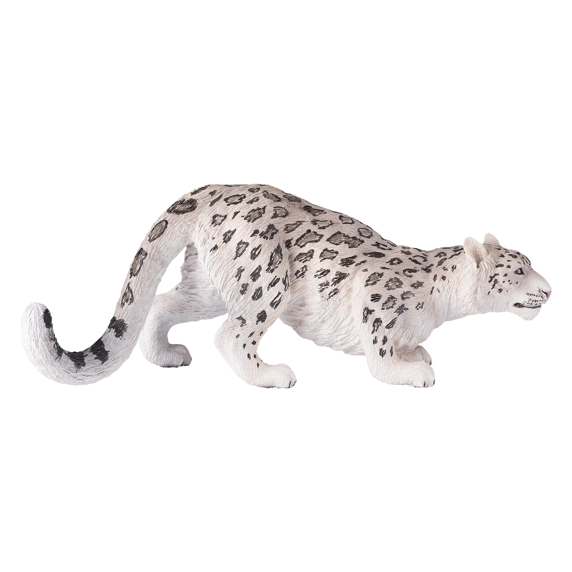ユキヒョウ