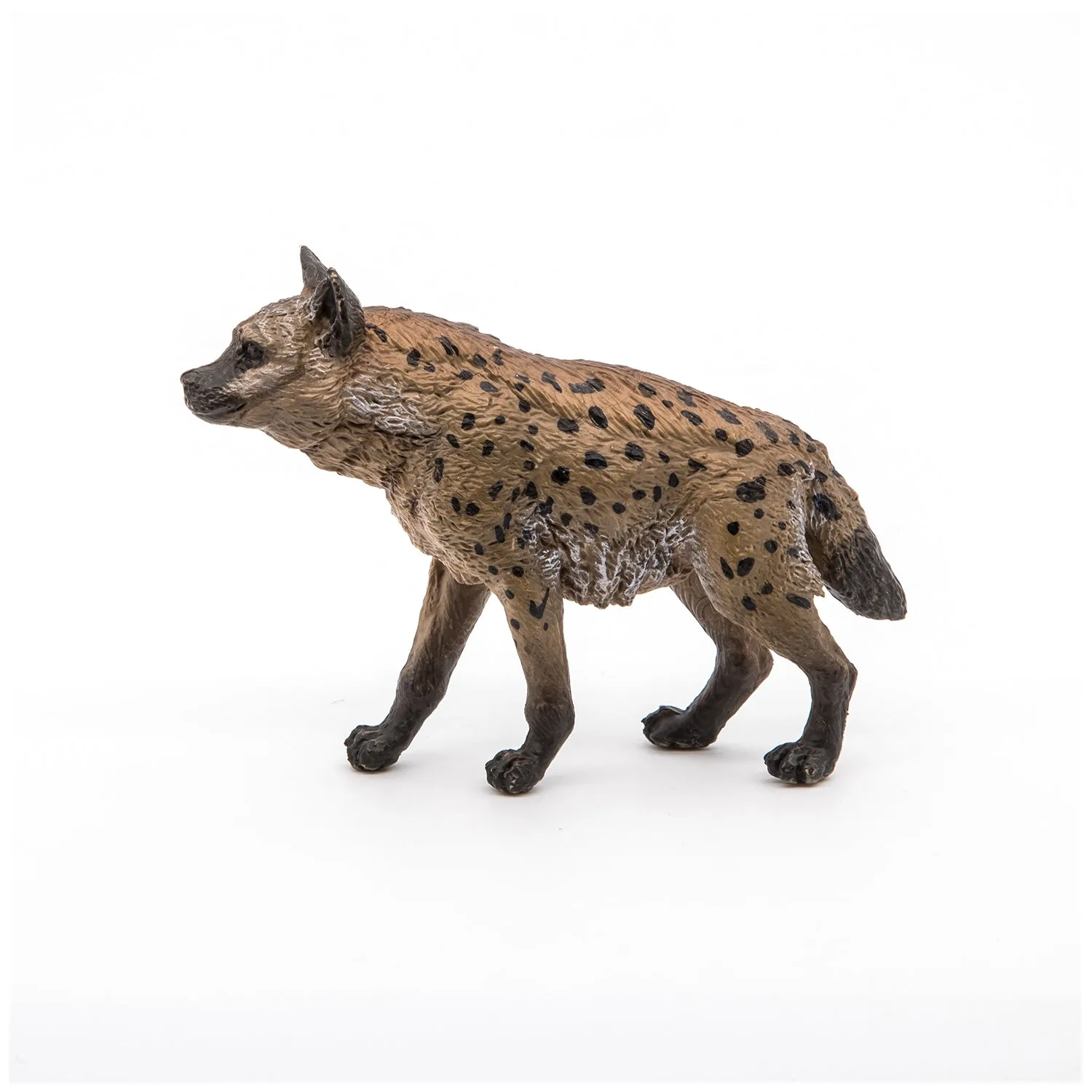 Hyena beeldje: Wilde dieren feiten voor kinderen