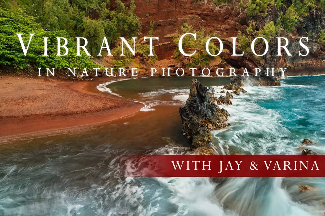 Vibrant Colors for Nature Photography