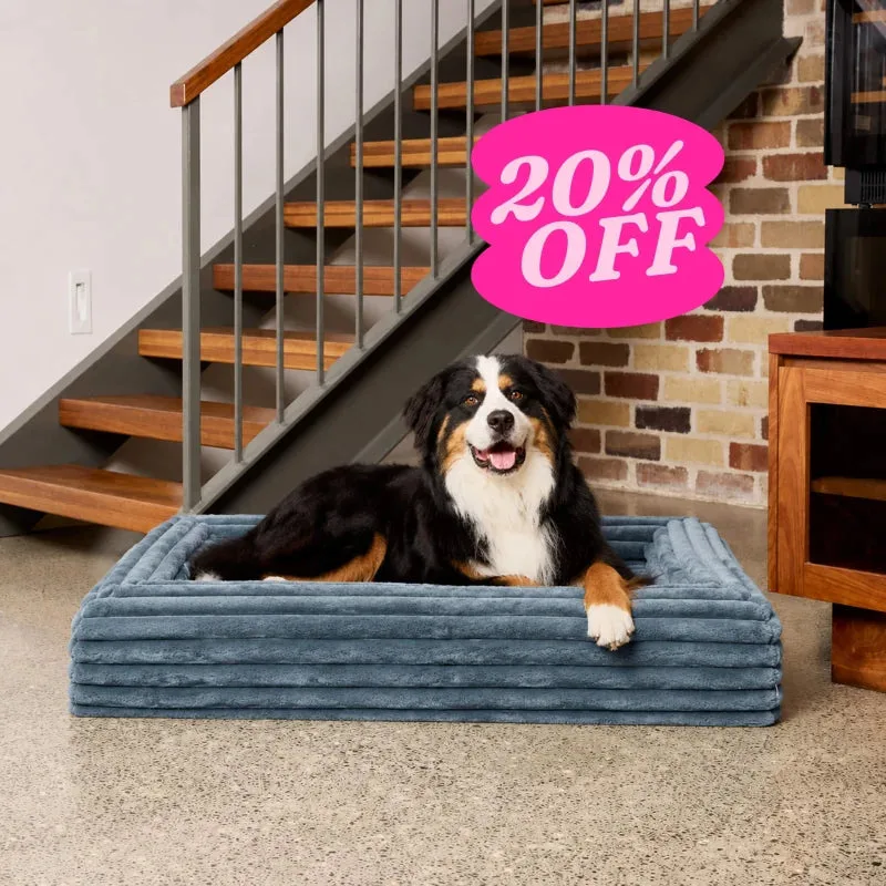 How to Measure Your Dog for the Perfect Bed Size