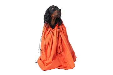 Dlaczego pies potrzebuje torby ochronnej Protector Bivvy Bag na camping