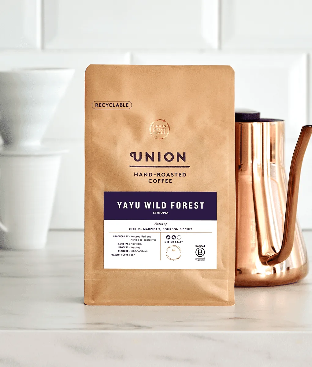 How to Clean and Descale Your Coffee Brewer for Better Tasting Coffee