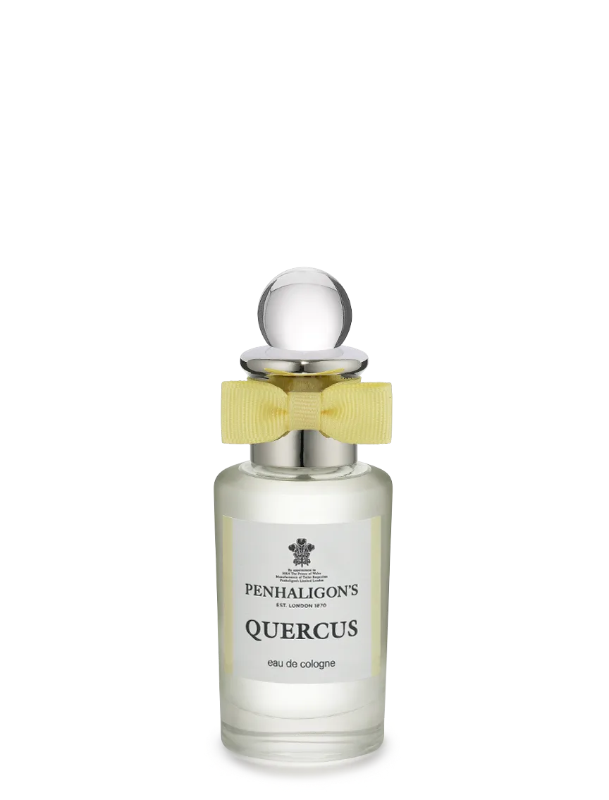 QUERCUS