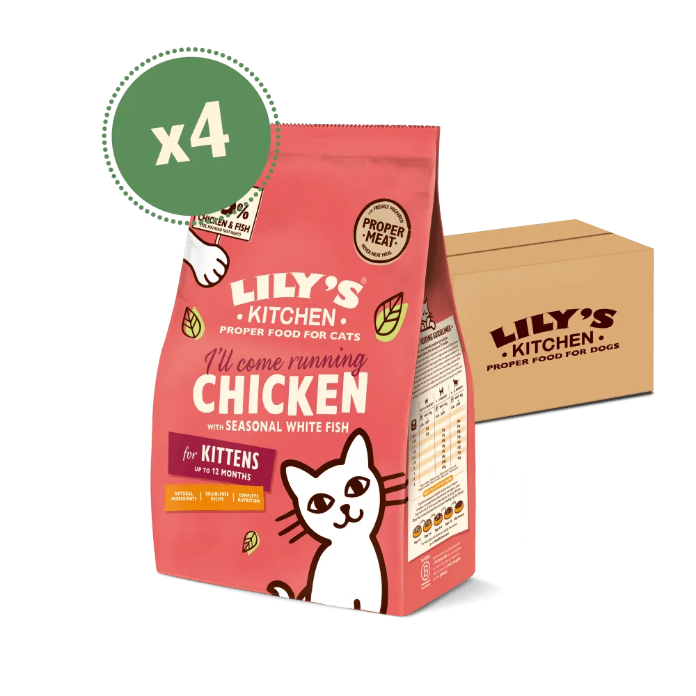 How to Keep Your Kitten Hydrated with Wet Food: Tips and Best Recipes