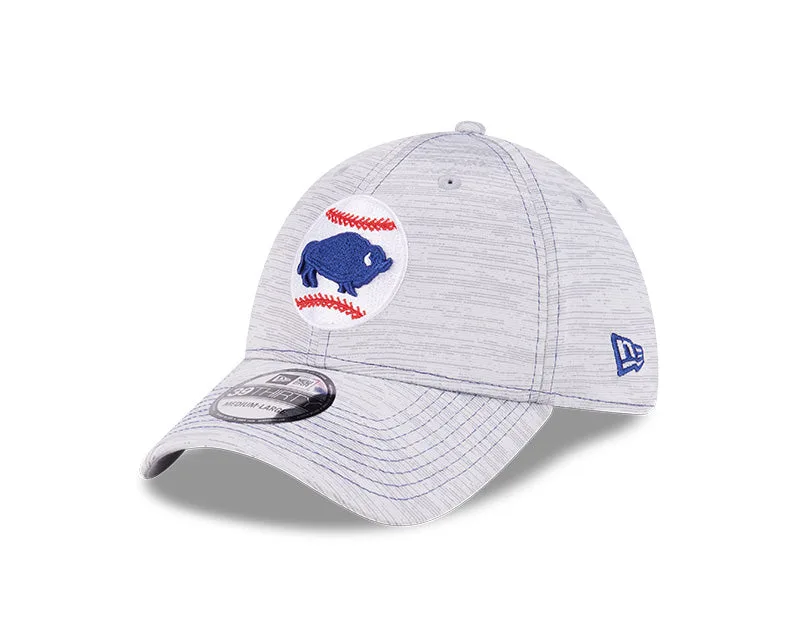 Buffalo Bisons vs. Rochester Red Wings: A Fan's Guide to Rivalry Merch