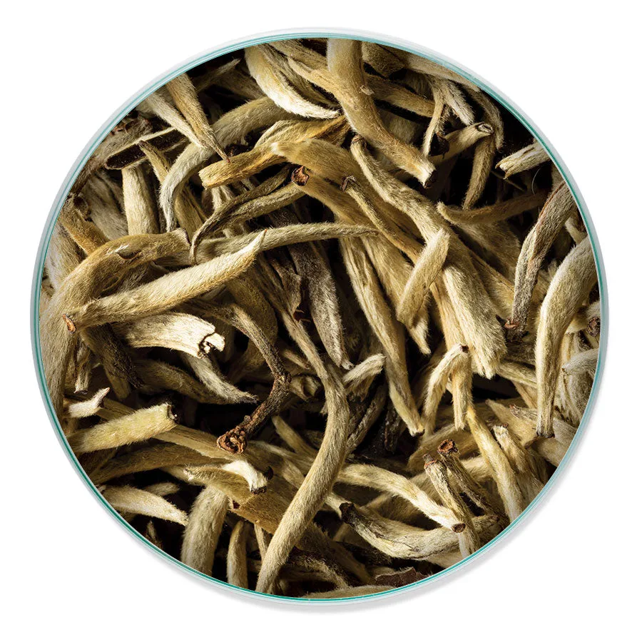 The Beginner's Guide to Loose Leaf White Tea