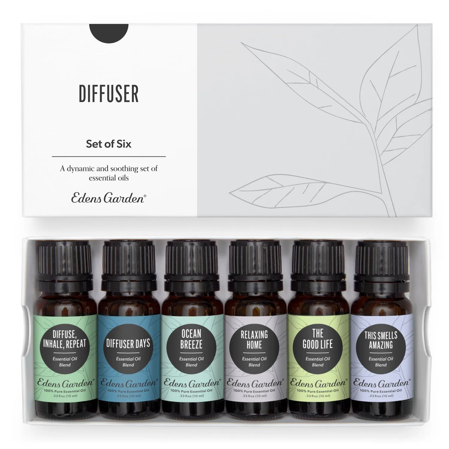 Diffuser Essential Oil 6 Set
