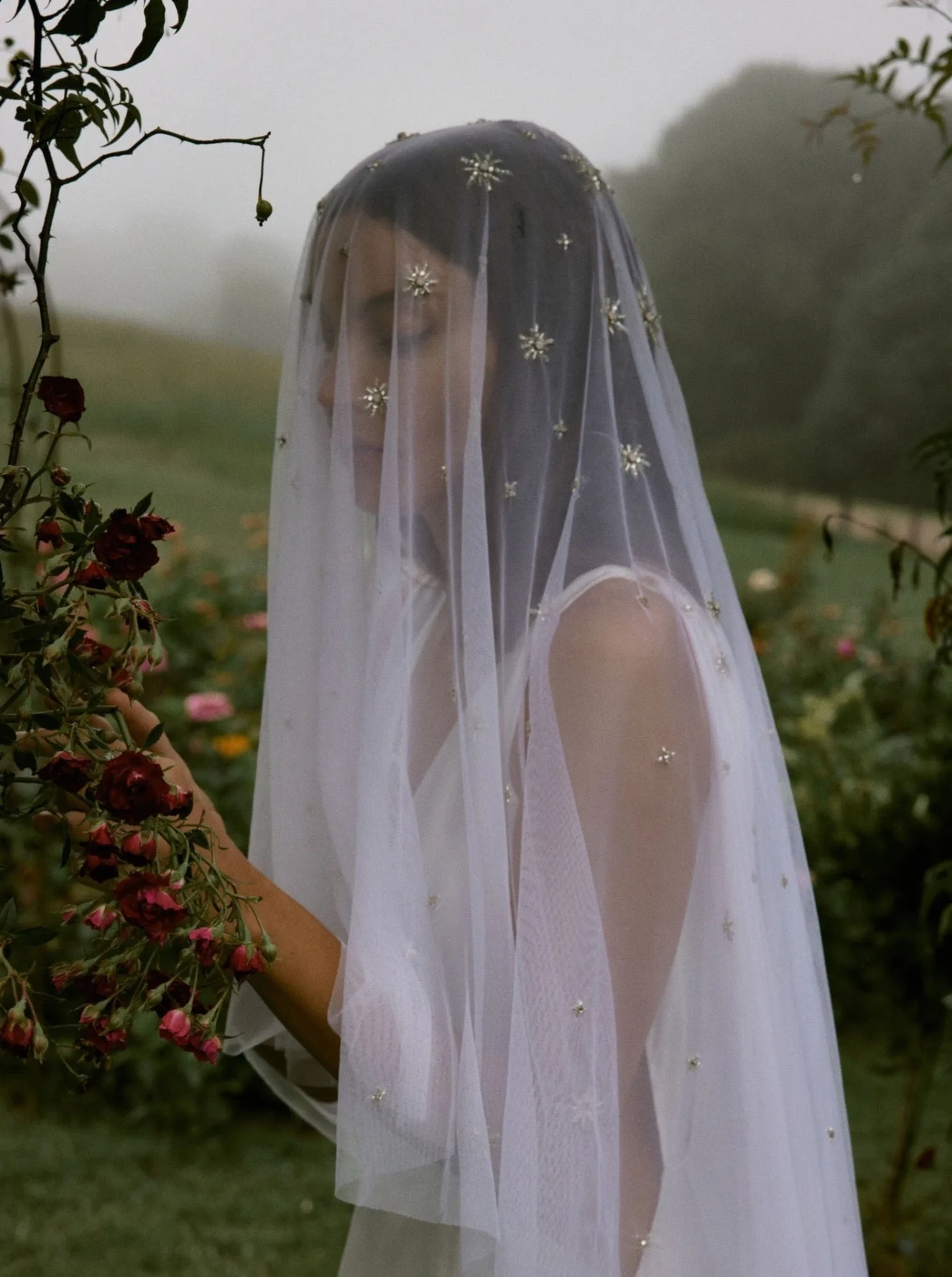 Sitaara Veil
