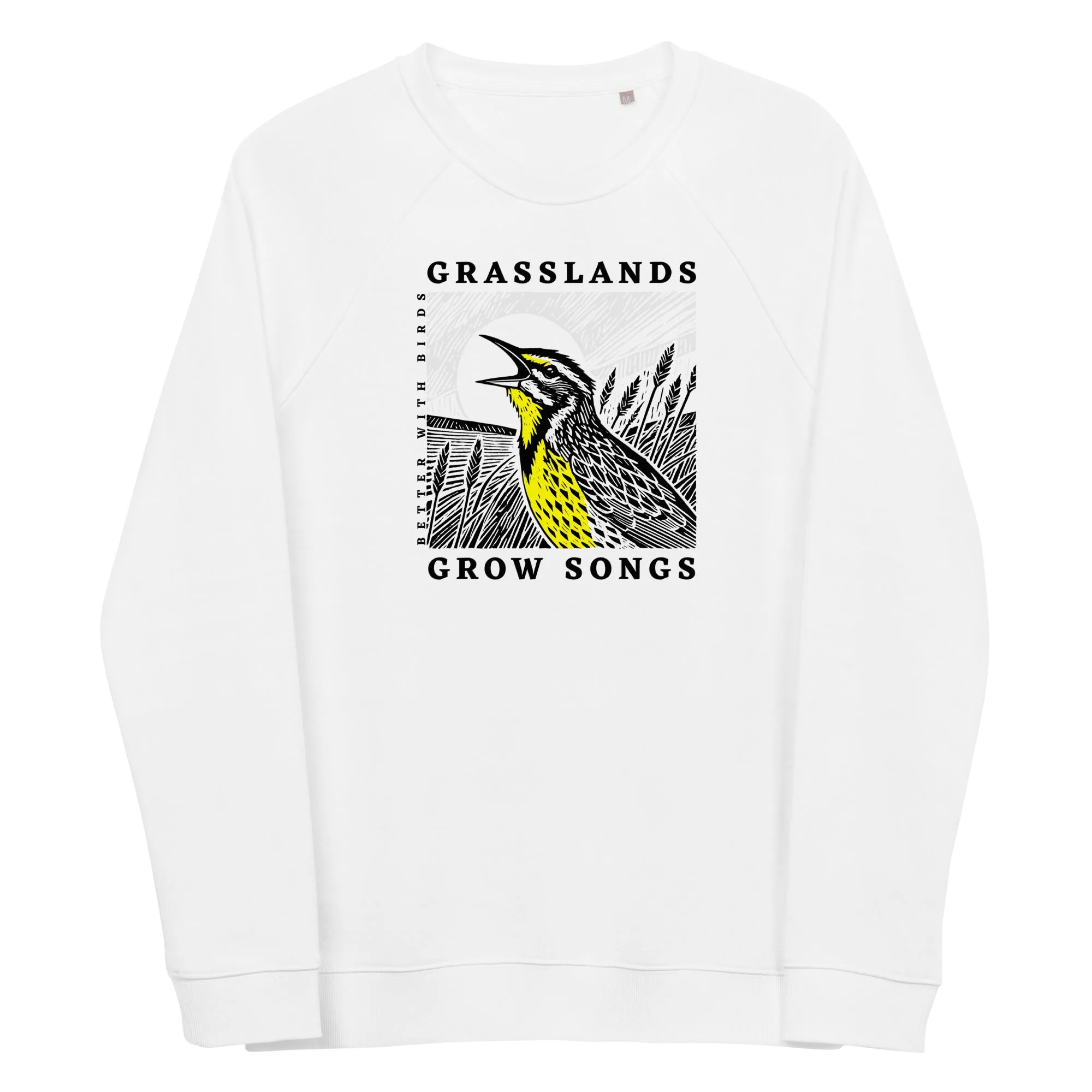 Hoodie vs. Sudadera para observar aves en la mañana fresca