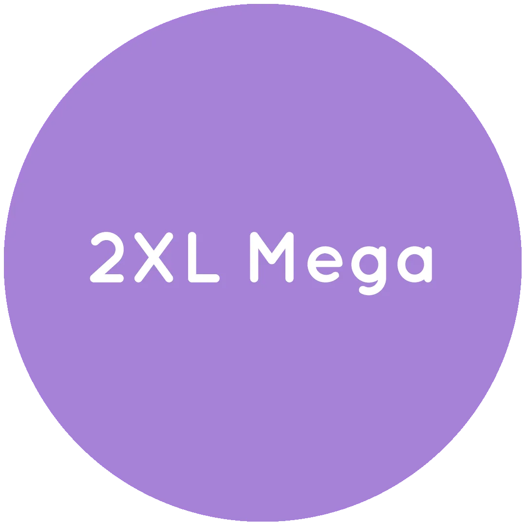 Outlet 2XL Mega Briefs:尺寸、合身度與價值指南