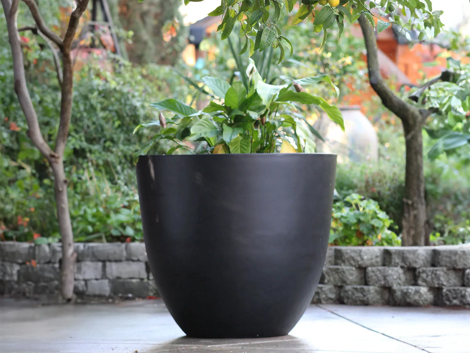 Tiefe Pflanzschale von Plantatorem