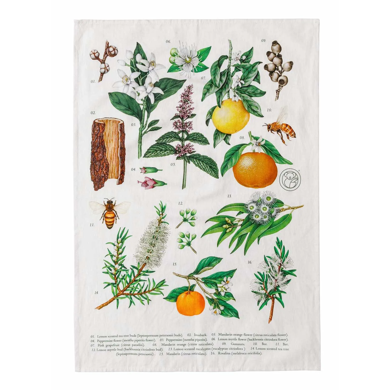 Why a Tea Towel Makes the Perfect Eco Gift