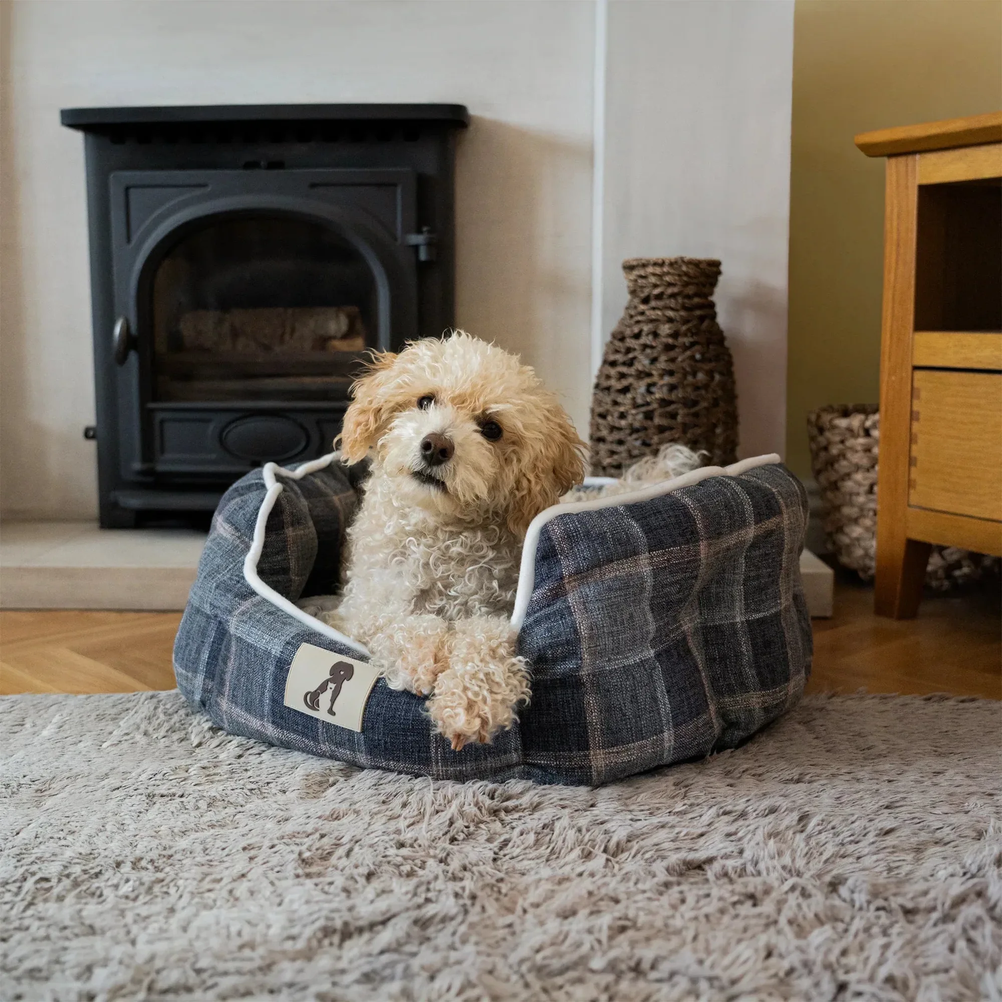 Alfie Oval Dog Bed vs Standard Round Bed for Small Dogs