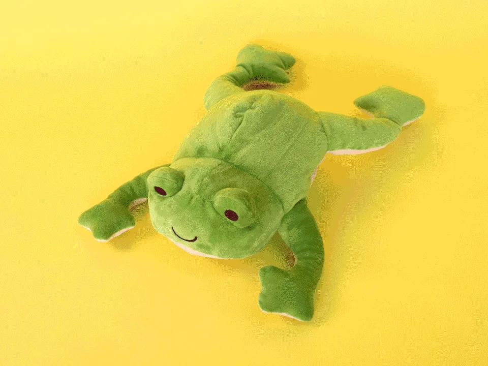 Froggie Dissection Lab | KiwiCo