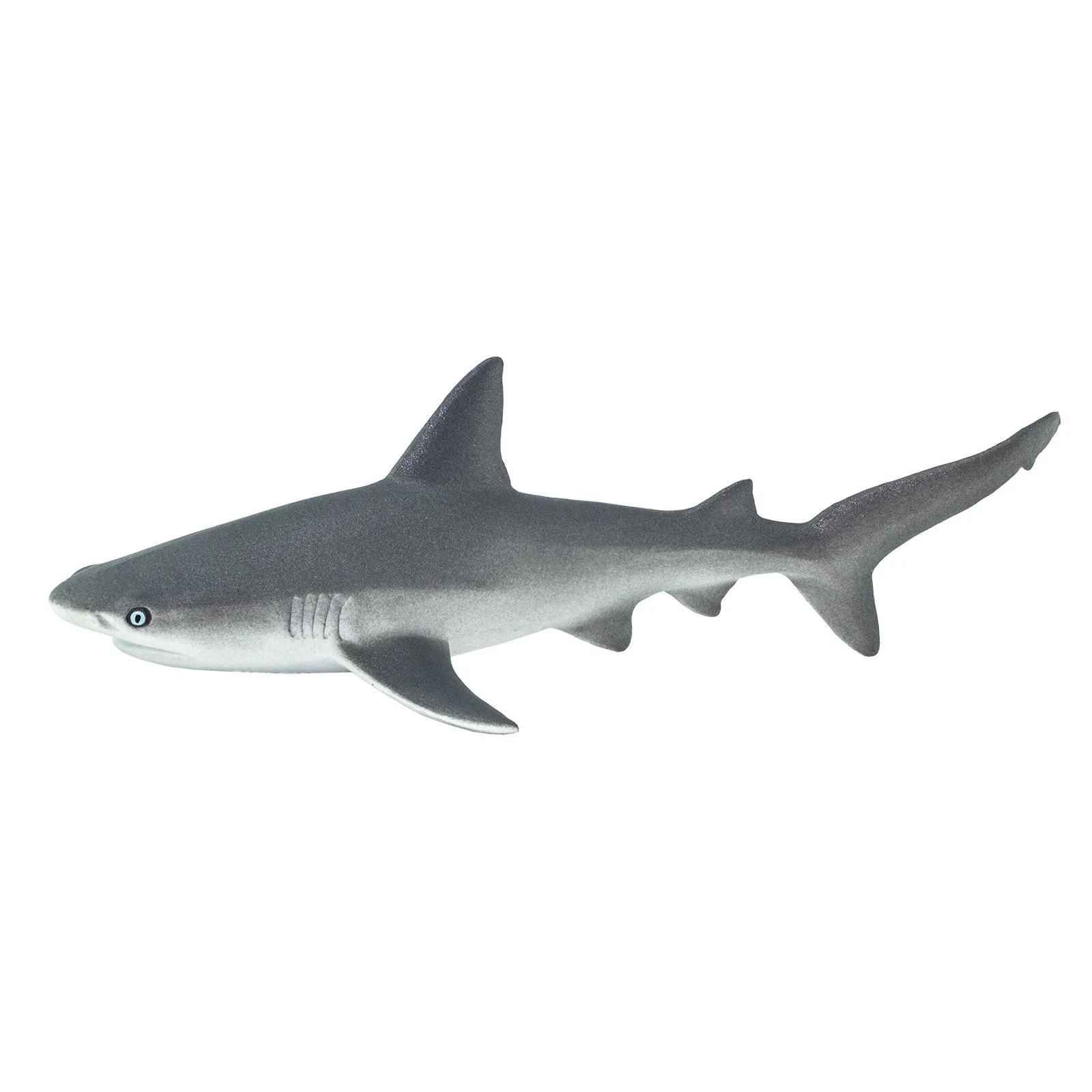 Gray Reef Shark Toy