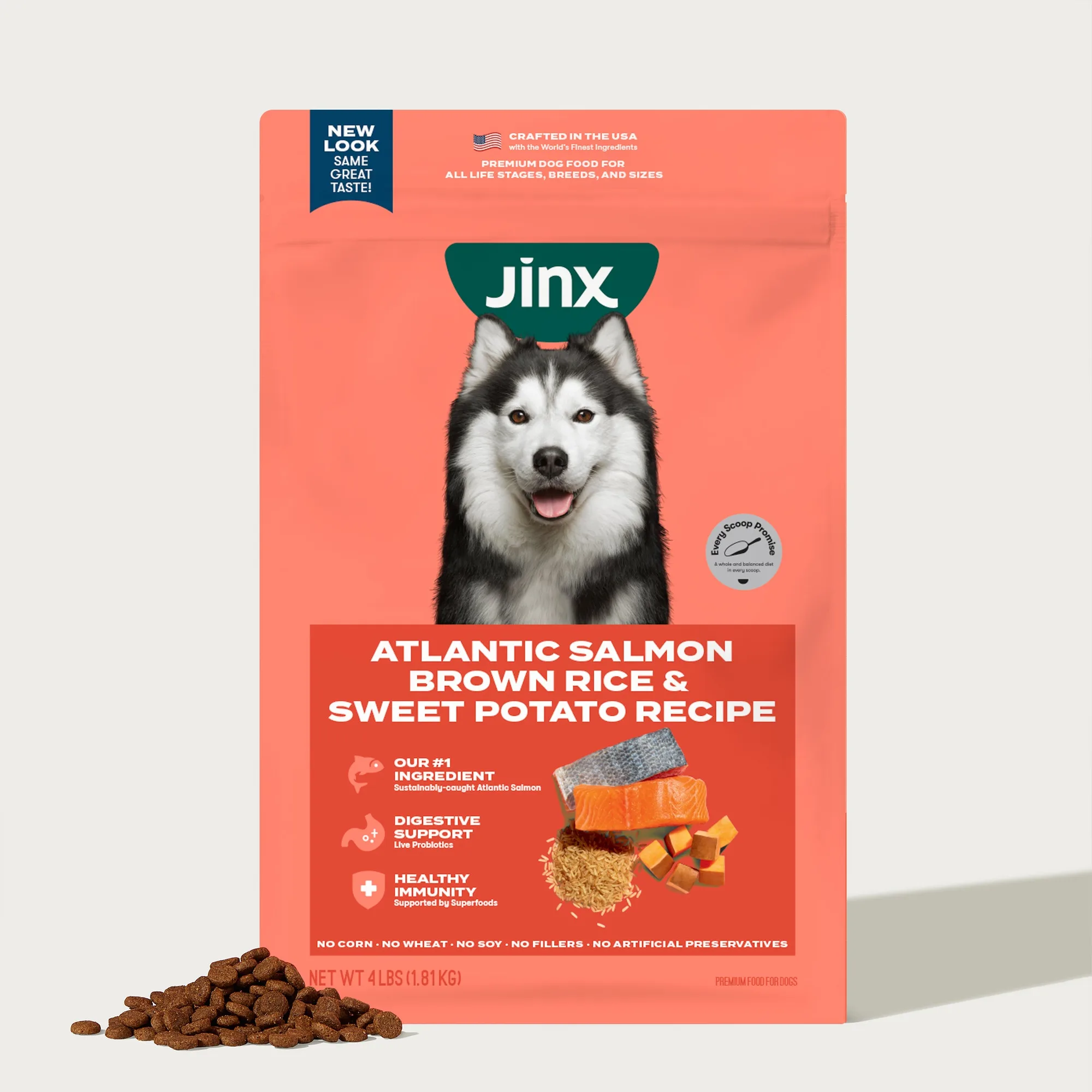How to Read Dog Food Labels: A Guide to Ingredients and Nutrition