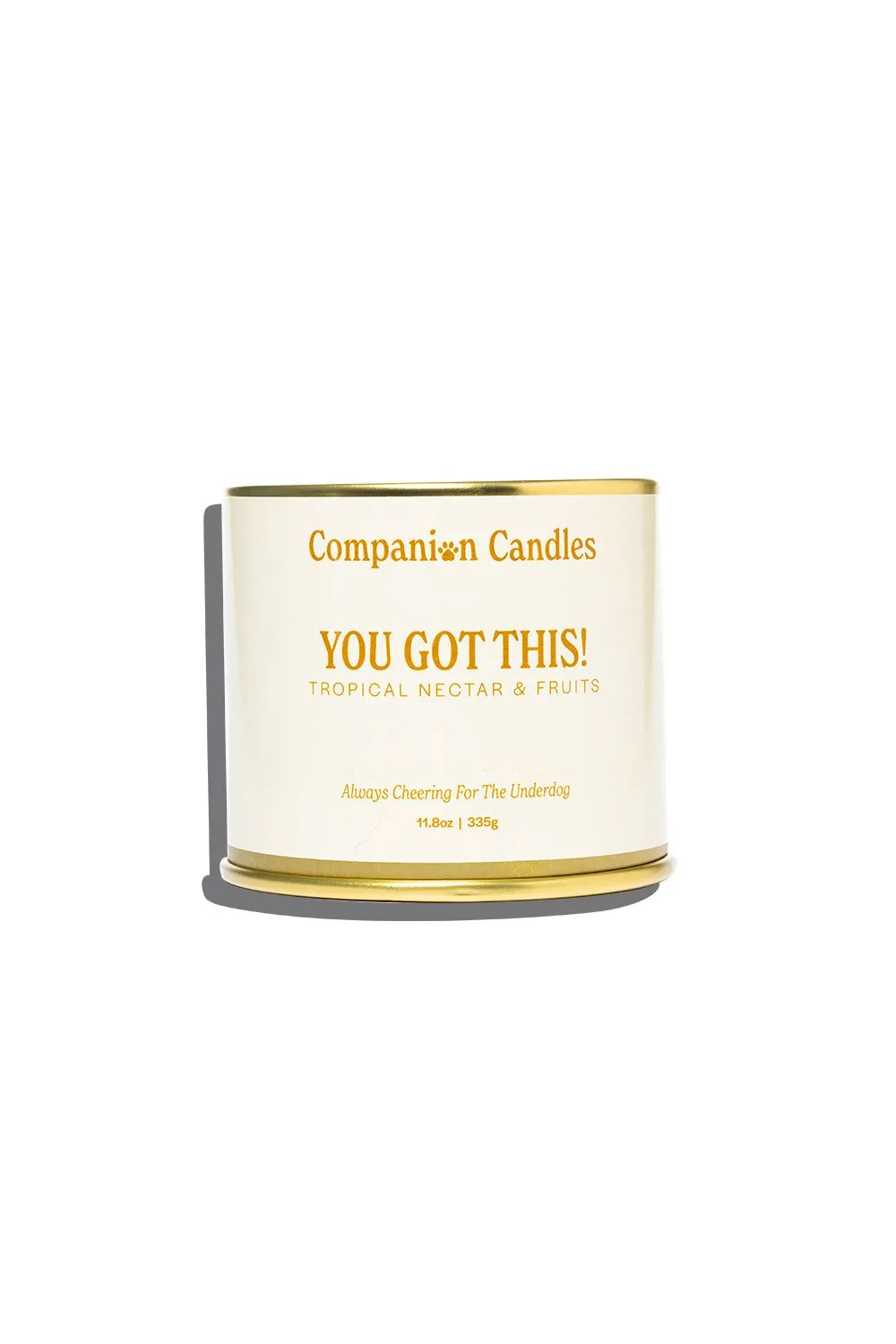 The Growing Trend of Pet Candles and Home Fragrance for Pet Owners