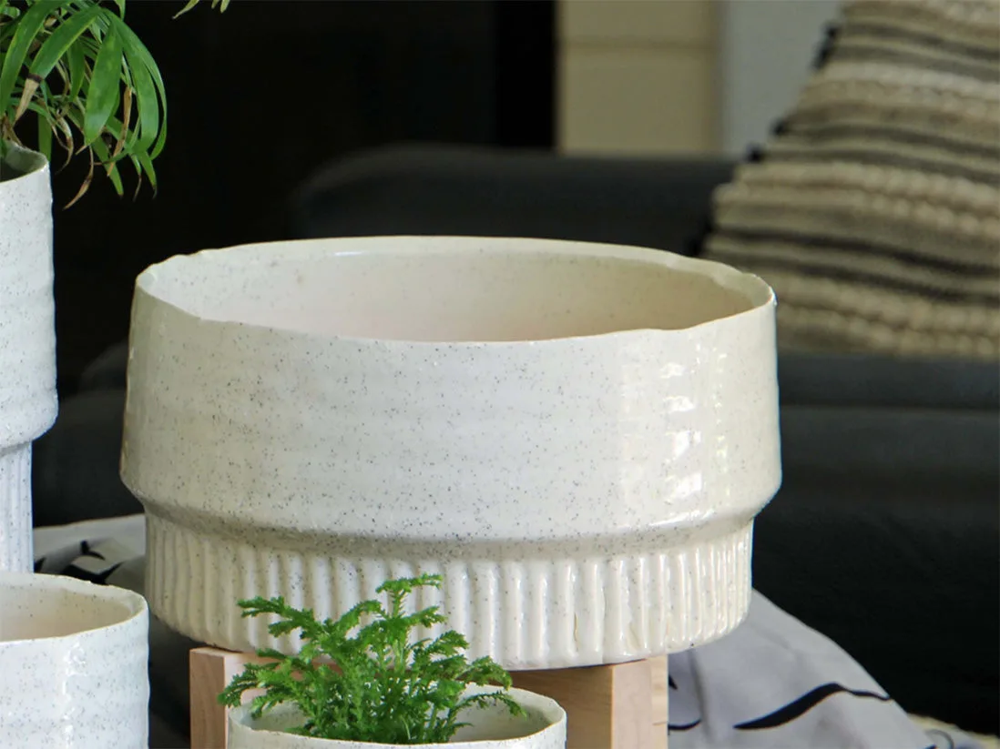 Indoor Planter Placement Guide: Light, Heat and Drafts to Avoid