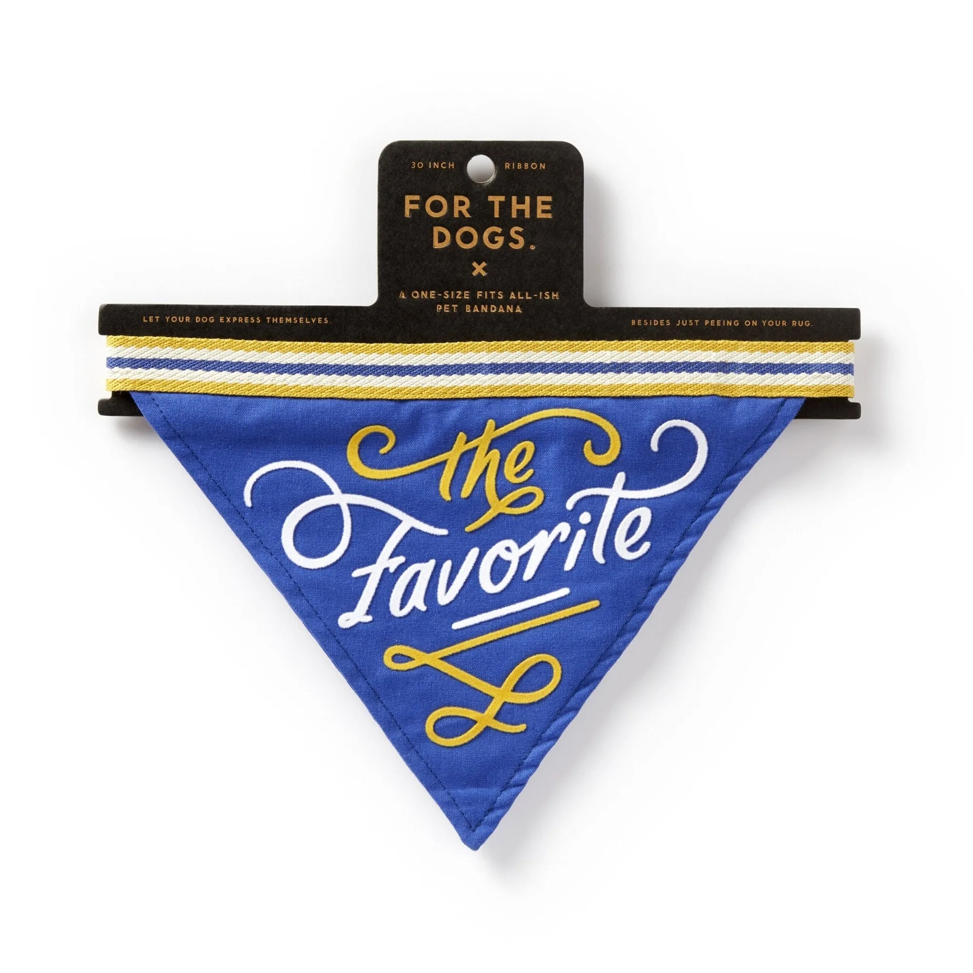 Why Your Dog Bandana Keeps Falling Off – Fixes