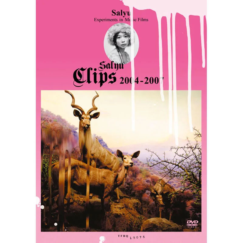 Salyu Clips 2004-2007 vs 録歌選:買うべきDVDは?