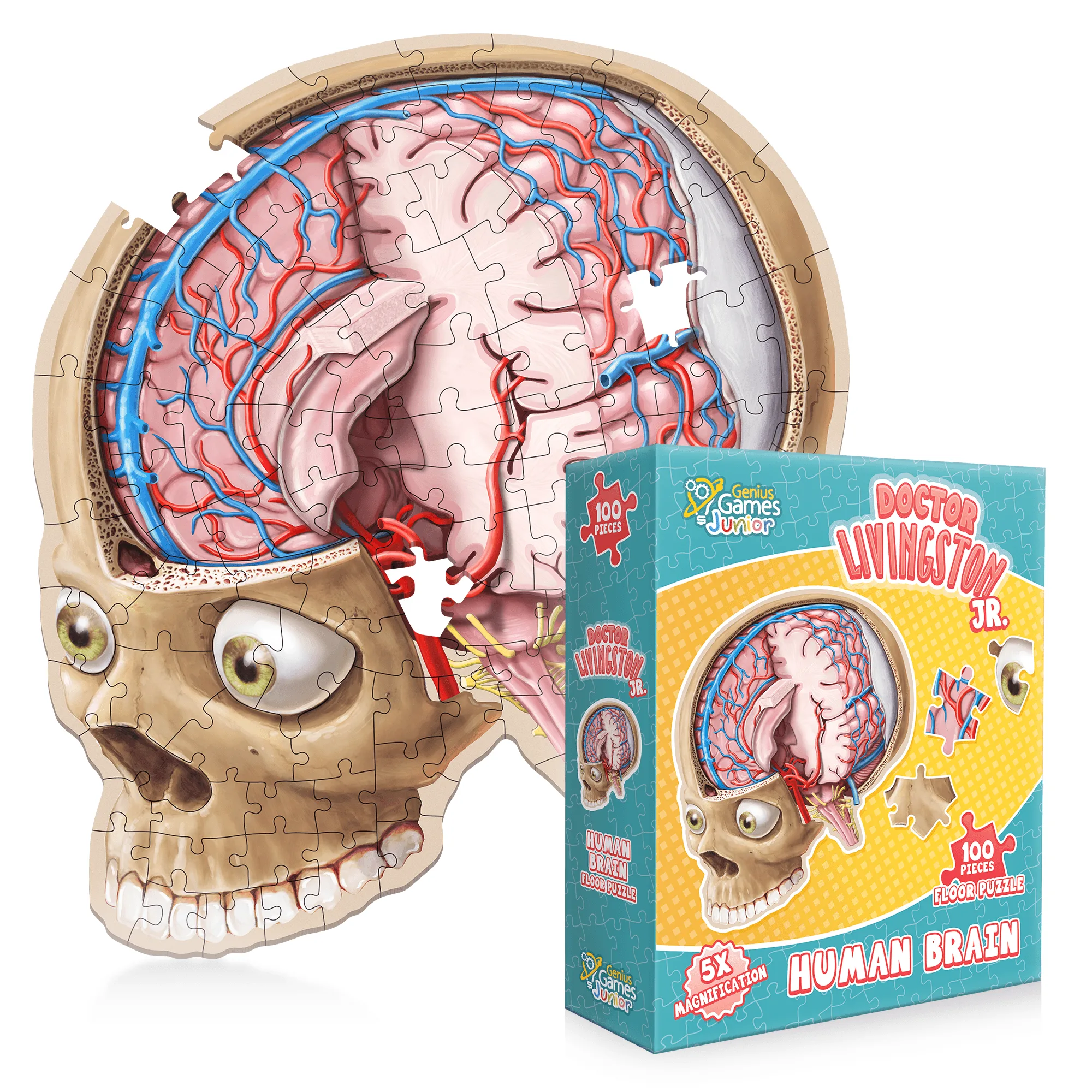 Kid's 100 Piece Brain Floor Puzzle: Dr Livingston's Jr. - A Medically Accurate Brain Anatomy Jigsaw Puzzle