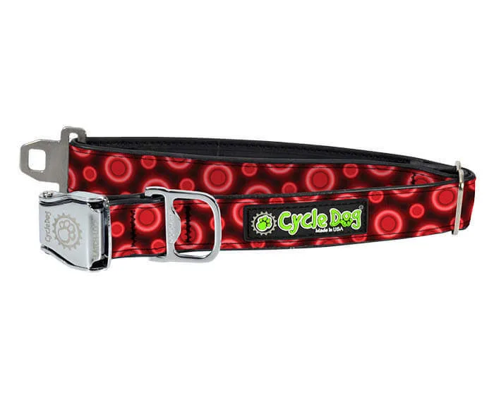 Hvordan rotere hundens leker for å holde dem engasjert