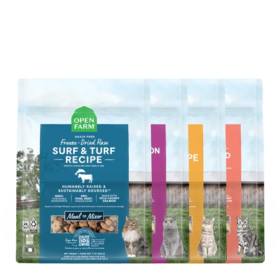 How to Choose the Right Dog Treats for Dental Health: Texture, Ingredients, and Benefits