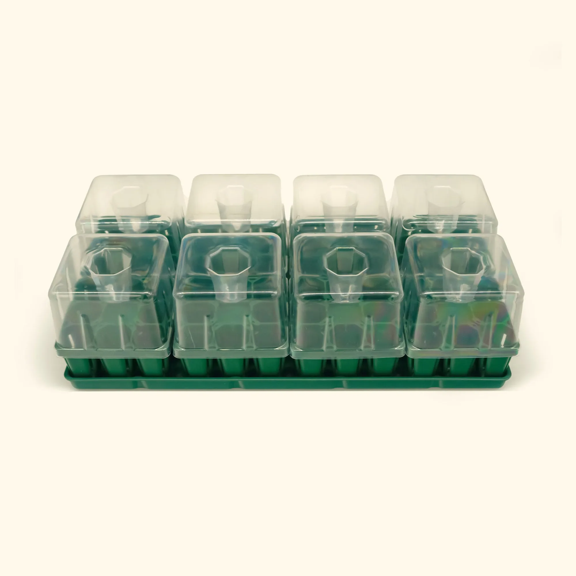 Lot de démarrage de semis : plateaux 10x20 vs 10x10