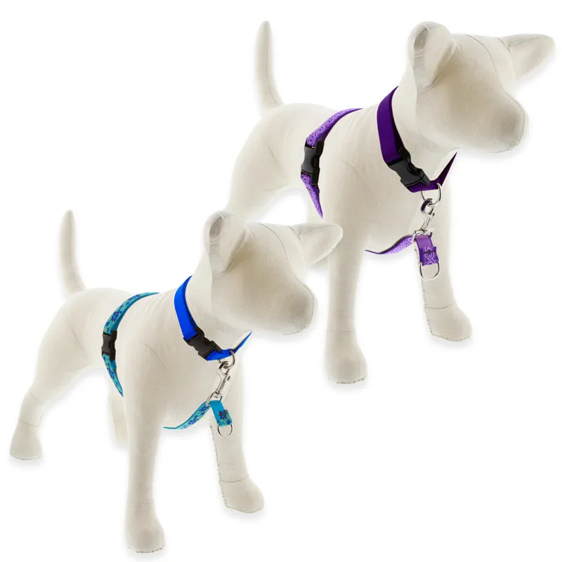 How to Use a No-Pull Training Harness: A Step-by-Step Guide