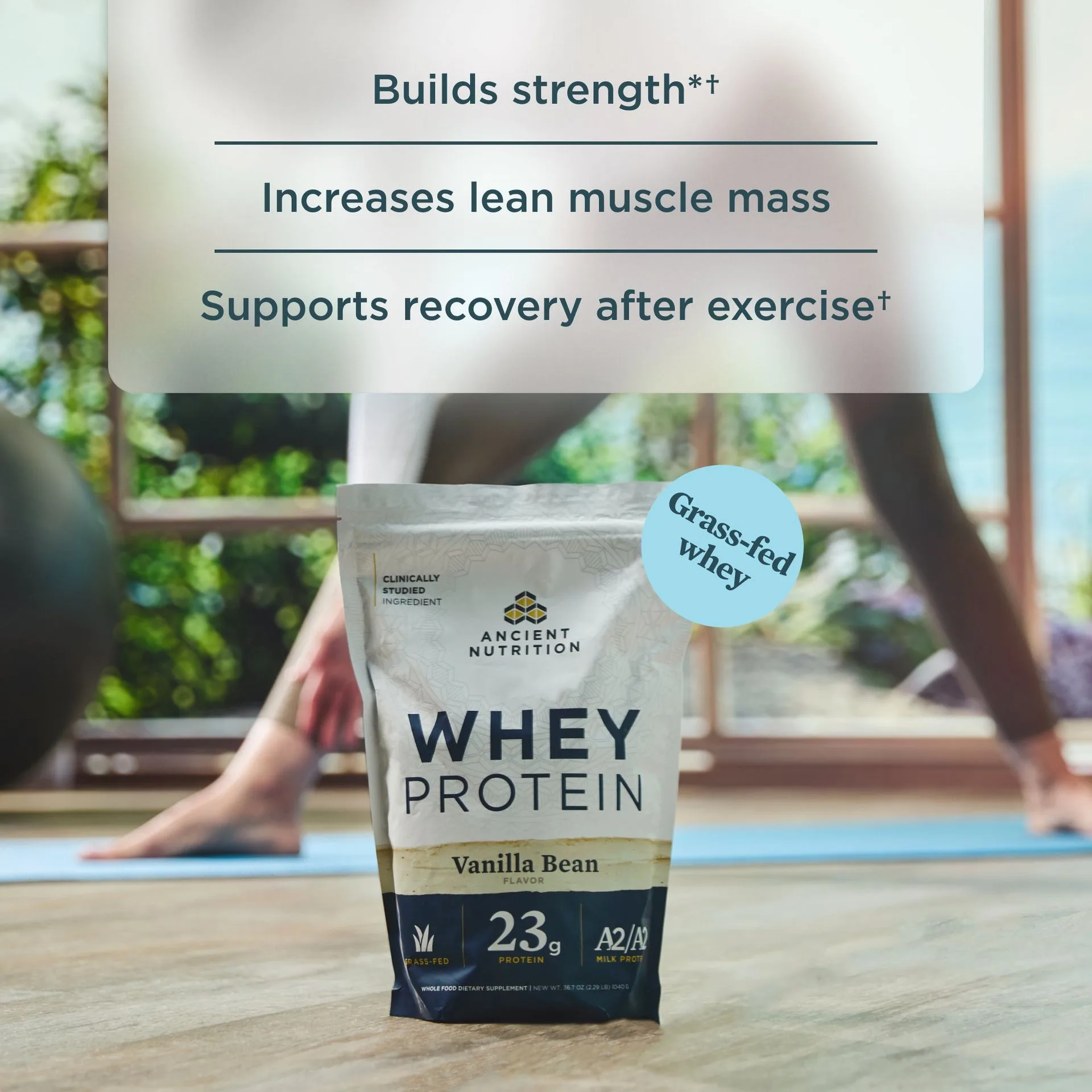 Whey Protein image