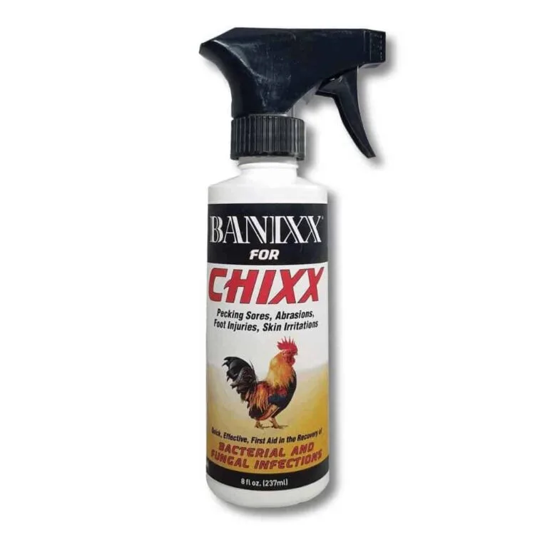 ニワトリへのBanixx for Chixxスプレーの使い方